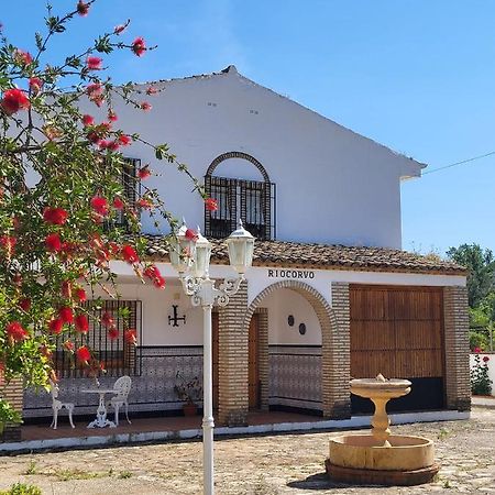 Riocorvo Villa รูเต ภายนอก รูปภาพ